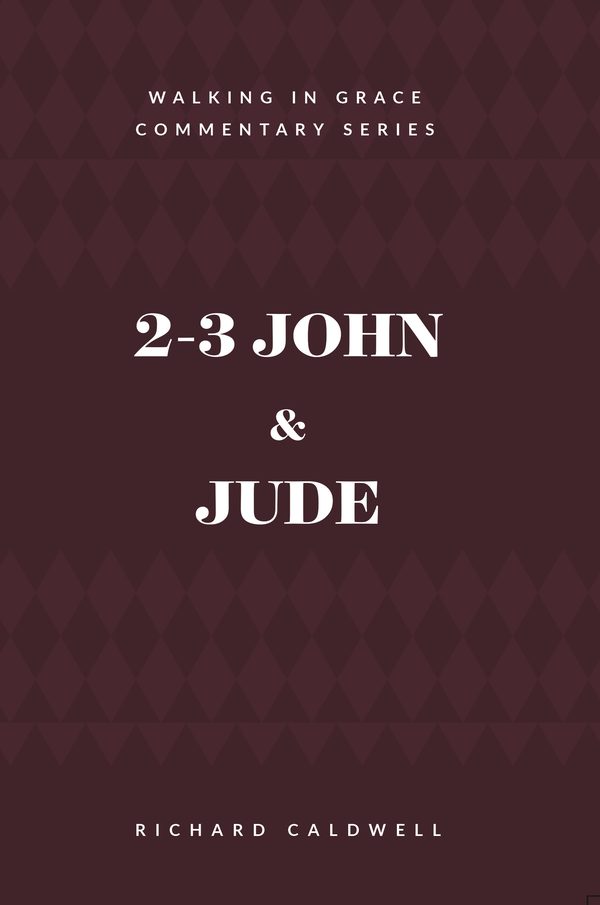 Cover of 2-3 John & Jude: Truth and Danger in the Church
