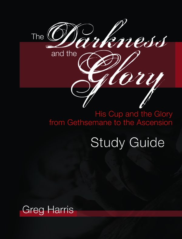 Cover of The Darkness and the Glory Study Guide