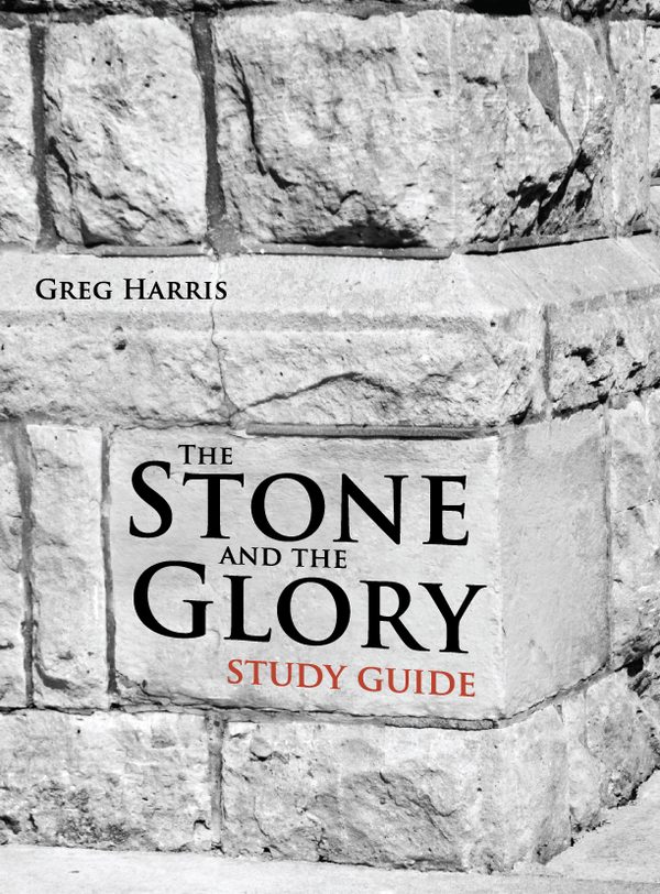 Cover of The Stone and the Glory Study Guide